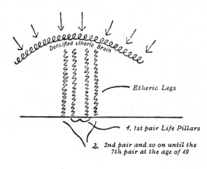 Etheric Legs