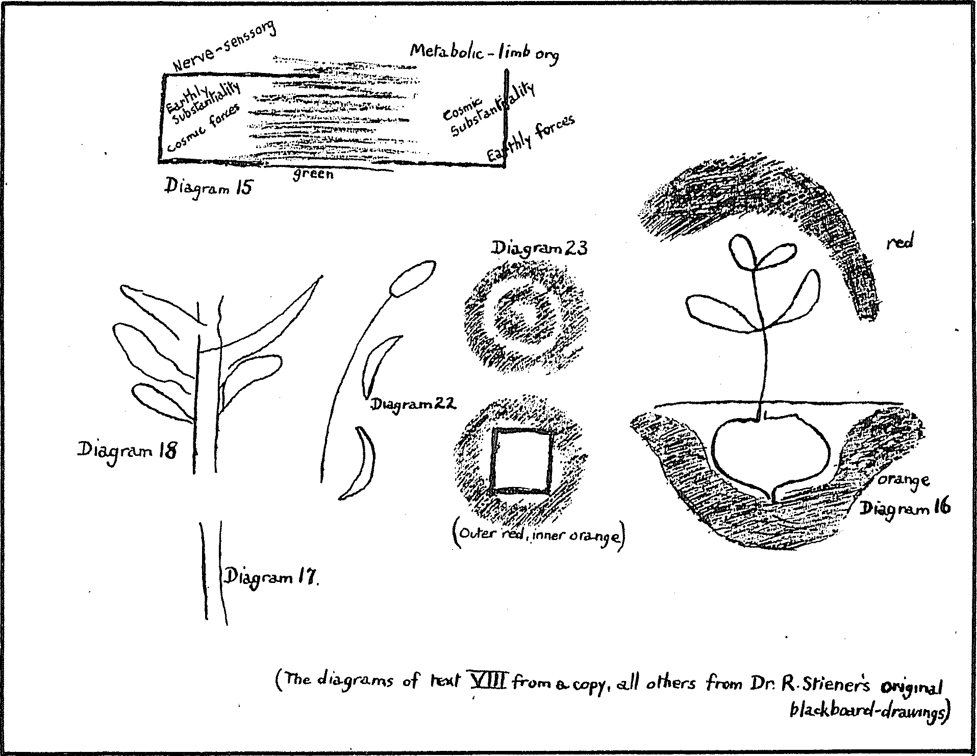 Diagram VIII